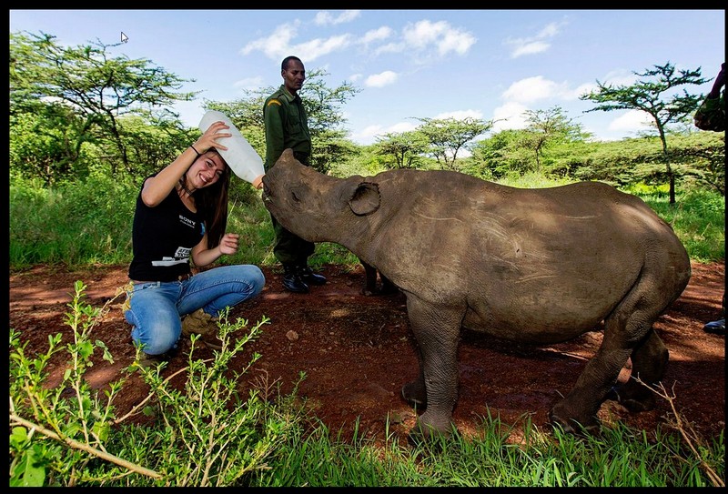 afrika